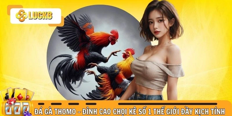 Đá gà Thomo